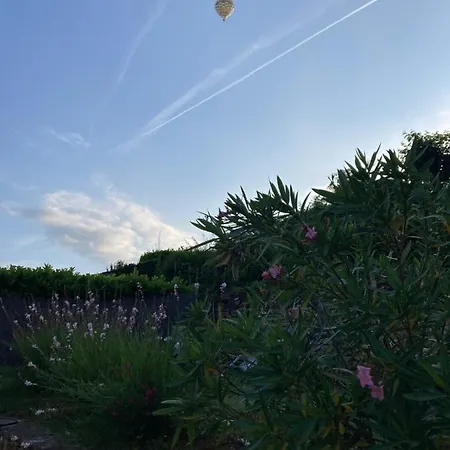 Ejoki Σπίτι διακοπών