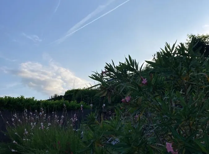 Ejoki Дом отдыха